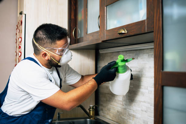 Best Wasp Removal Services  in Danville, IA