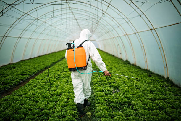 Best Pest Prevention Services  in Danville, IA