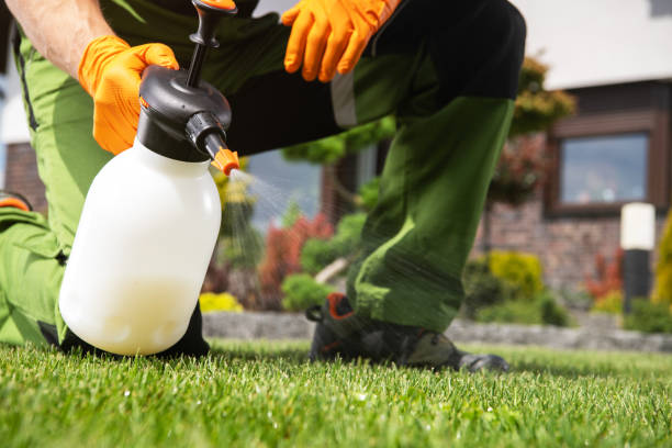 Best Bird Control  in Danville, IA